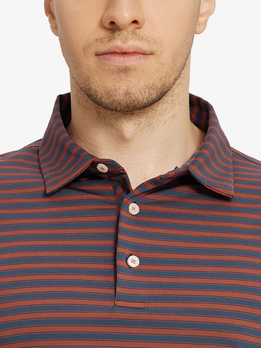 Yarn Dyed Stripe Polo