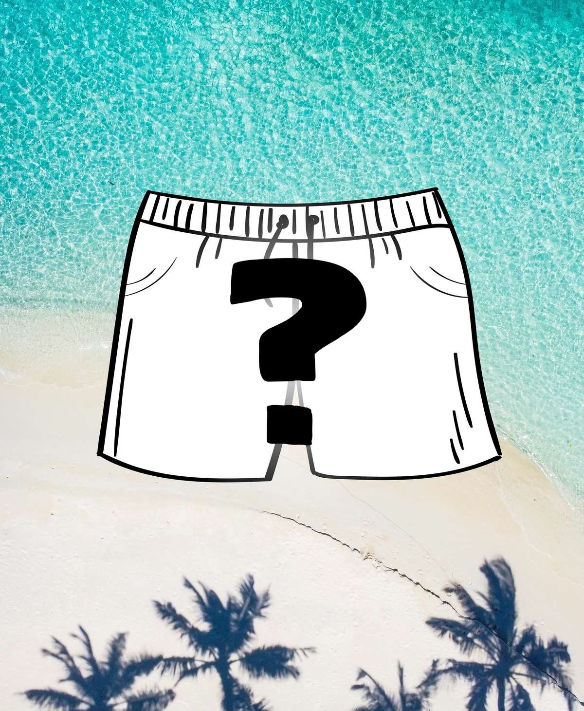 Mystery Swim Trunks
